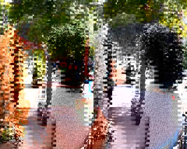 City Launches Pilot Program for Rain Gardens to Combat Urban Flooding